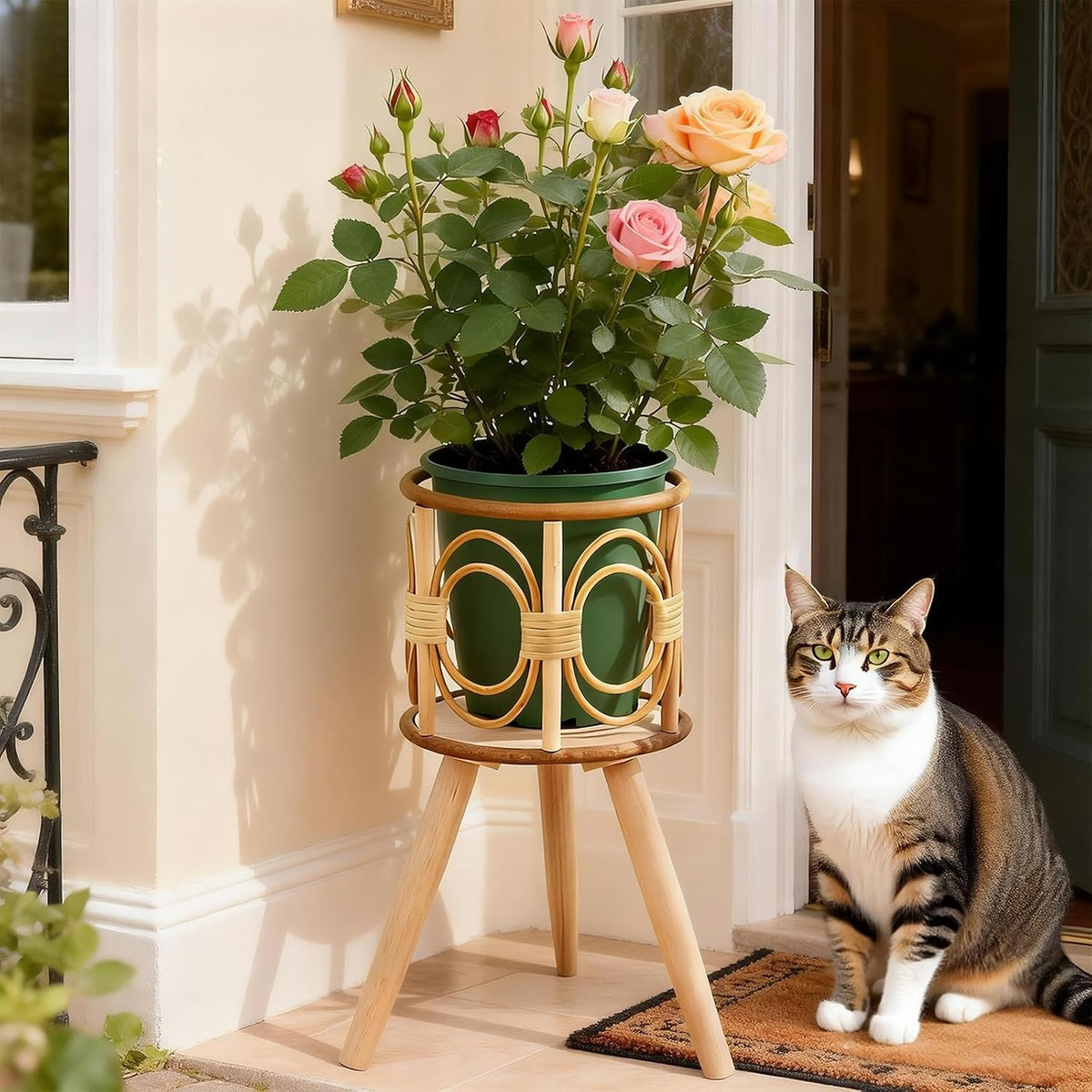 Boho Wooden‑Rattan Multiple‑Plant Display Stand