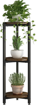 Tall Round Indoor Corner Multi‑Tier Plant Stand