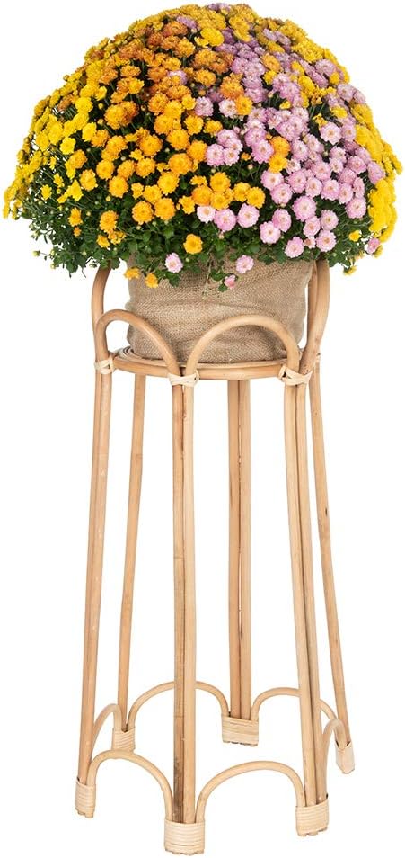 Natural Rattan Loop Indoor Potted Plant Stand