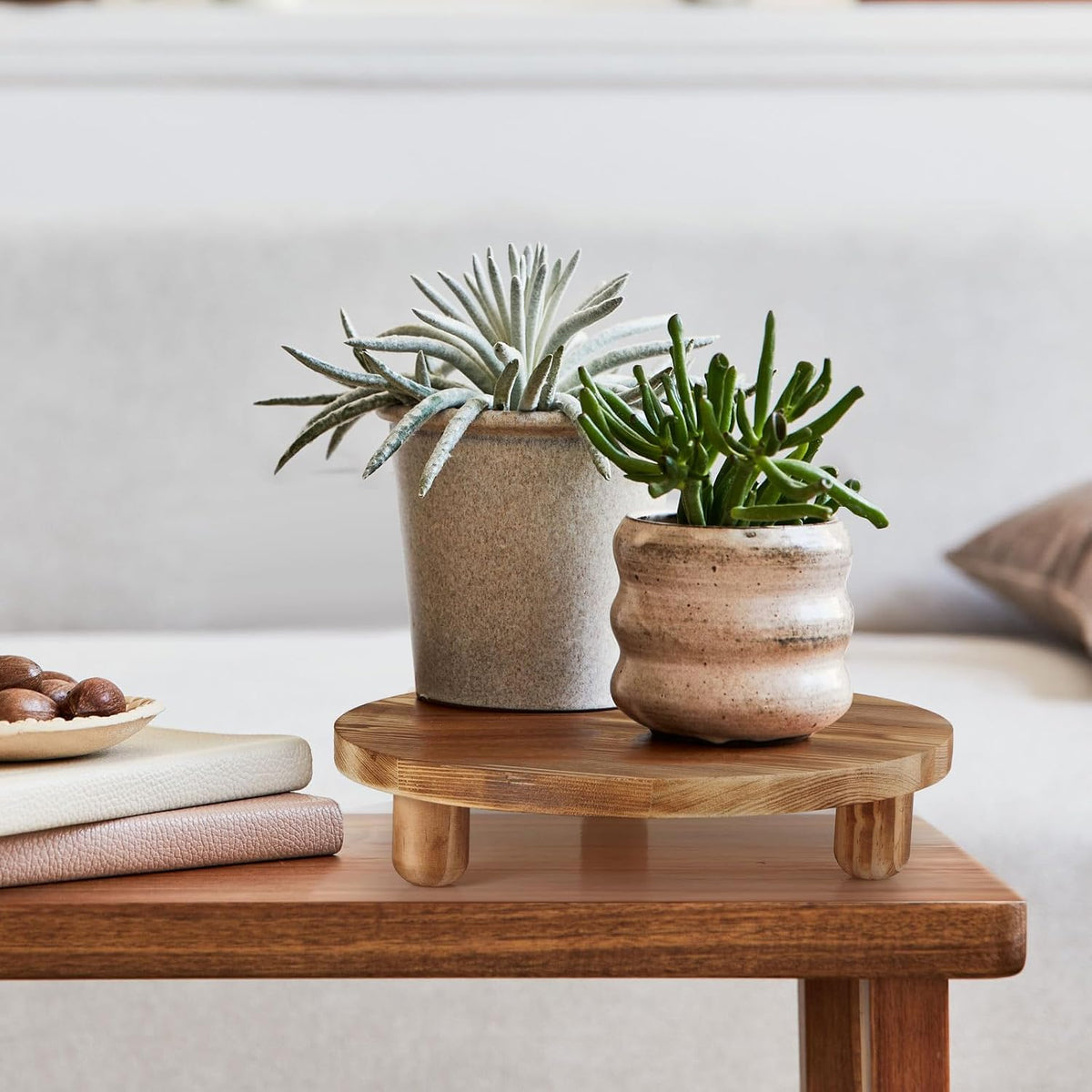 4‑Pack Round Mini Wooden Plant Display Stools