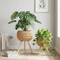 2‑Pack Boho Rattan Indoor Plant Stand Set